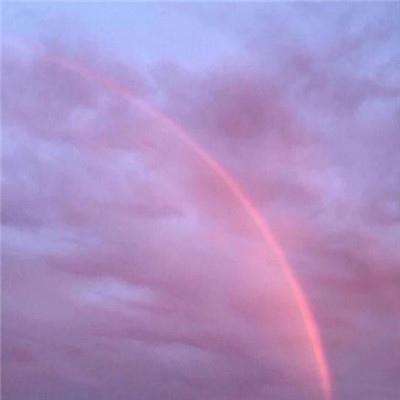 域网棋牌app下载